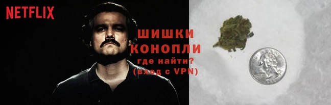 мяу мяу мука Лихославль